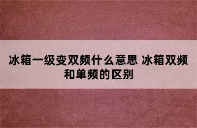 冰箱一级变双频什么意思 冰箱双频和单频的区别